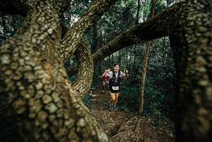 BIB: 
                            <button type="button" onclick="openModal(25669777)" class="btn btn-primary btn-sm float-right btn-popup" data-toggle="modal" data-target=".modal-high-quality">
                        <i class="fas fa-shopping-cart"></i> Add to Cart
                    </button>
                                            <button type="button" onclick="isThisMe(25669777, true)" class="btn btn-success btn-sm float-right btn-popup btn-isme hidden" data-toggle="tooltip" data-placement="bottom" title="นี่คือรูปของคุณใช่ไหม คลิกที่นี่เพื่อเอาเข้าอัลบั้ม">
                        <i class="fas fa-plus"></i> Add to album
                    </button>
                    <button type="button" onclick="isThisMe(25669777, false)" class="btn btn-warning btn-sm float-right btn-popup btn-isnotme hidden">
                        <i class="fas fa-ban"></i> Remove from album
                    </button>